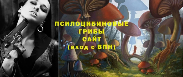 марки lsd Приозерск
