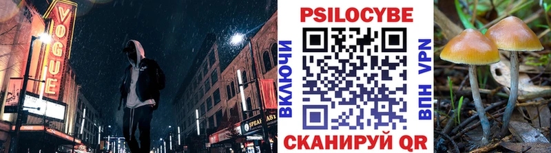 Псилоцибиновые грибы Psilocybe MEGA ССЫЛКА Монино цены